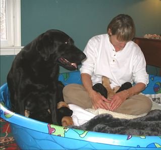 Jane, mom, and puppies